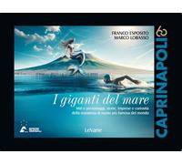 I giganti del mare. Miti e personaggi, storie, imprese e curiosità della maratona di nuoto più famosa del mondo