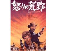 I Giorni Dell'ira [DVD de Audio]