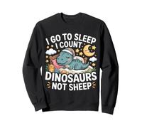 I Go To Sleep I Count Dinosaurs Not Sheep Sueños Sudadera