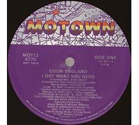 I Got What You Need [Vinilo]