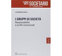 I gruppi di società. Responsabilità e profili concorsuali (Il nuovo diritto societario)