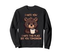 I Hate You I Hate This Place See You Tomorrow Sudadera