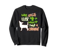 I Have A Chihuahua Dog Lucky Charm Funny St Patricks Day Sudadera