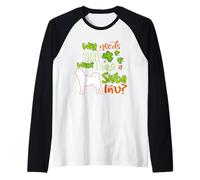 I Have A Shiba Inu Dog Lucky Charm Shamrock St Patricks Day Camiseta Manga Raglan