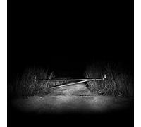 I Have Fought Against It, But [Vinilo]