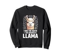 I Hice The Math La Respuesta es Llama Funny Math Sudadera