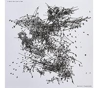 I Hold The Lion?S Paw - Abstract Playgrounds [Vinilo]
