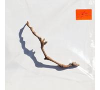 I INSIDE THE OLD YEAR DYING [Analog]