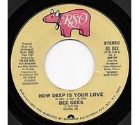 I Just Want to Be Your Everything