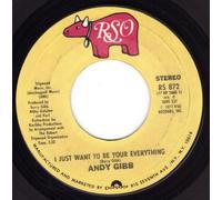 I Just Want To Be Your Everything/In The End (VG+/VG 45 rpm)