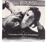 I Just Want To Be Your Everything/In The End (VG/VG+ PS ONLY 45 rpm)