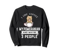 I Like Coffee My Dog Pomeranian and Maybe 3 People Sudadera
