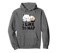 I Like to Nap Cat and Bird Time for a Siesta Sudadera con Capucha
