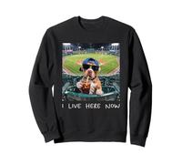 I Live Here Now Funny Pitbull Funny Baseball Field Meme Sudadera
