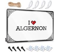I Love Algernon Girly Jubilación Colgante | Arte de pared divertido hecho a mano, bonita decoración de pared de metal vintage (20 x 30 cm)