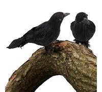 I LOVE FANCY DRESS Adorno realista de cuervo negro para decoración de Halloween, 18 cm x 20 cm, decoración de pájaro gótico espeluznante para exhibiciones y fiestas de casa embrujada