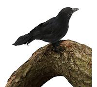 I LOVE FANCY DRESS Adorno realista de cuervo negro para decoración de Halloween, 18 cm x 20 cm, decoración de pájaro gótico espeluznante para exhibiciones y fiestas de casa embrujada
