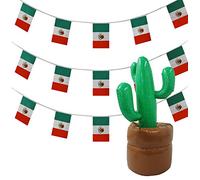 I LOVE FANCY DRESS Decoracion TEMATICA para Fiestas MEXICANAS Conjunto con 10 Metros DE BANDERINES MEXICANAS Y CACTO Inflable Fiestas TEMATICAS