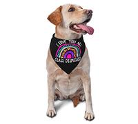I Love You All Class Dismissed Teacher Last Day of School Pañuelos para Perros Bufanda para Mascotas Triángulo Babero Gatos Pañuelo Ajustable Accesorios para Cachorros pequeños, medianos y Grandes