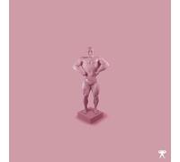 I Never Koos This Life [Vinilo]