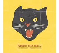 I Never Thought It Would Go This Far by Wrinkle Neck Mules