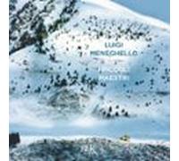 I Piccoli Maestri (audiolibro)