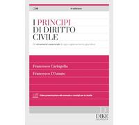 I principi del diritto civile. Gli strumenti essenziali di ogni ragionamento giuridico. Con aggiornamento online