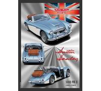 I&S/Colecciones Retro Placa de metal en relieve 40 x 30 cm Austin Healey Austin Healey Producto con licencia oficial y/o diseño exclusivo