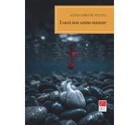I sassi non sanno nuotare (Brenar. Narrativa)