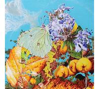 I SAW A STAR BEHIND YOUR EYES, DON'T LET IT DIE AWAY