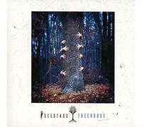I See Stars - Treehouse