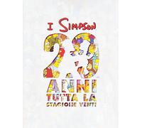 I Simpson Stagione 20 [Italia] [DVD]