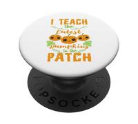 I Teach The Cutest Pumpkins - Regalo de Disfraz de Halloween para Profesor PopSockets PopGrip Adhesivo