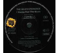 I wanna feel the music (1994) / Vinyl Maxi Single [Vinyl 12'']