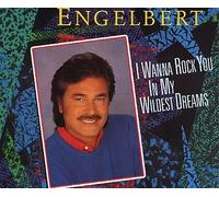 I Wanna Rock You in My Wildest Dreams [CD-single]