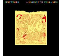 I Was a King - Best Wishes - a Shortcut to I Was a King [Vinilo]