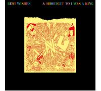 I Was a King - Best Wishes - a Shortcut to I Was a King [Vinilo]