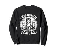 I Was Normal 3 Cats Ago Sudadera