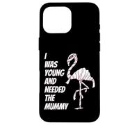 I Was Young and Needed The Mummy Humor de la Momia Flamenca Carcasa para iPhone 16 Pro MAX