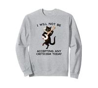 I Will Not Be Accepting Any Criticism Today - Divertido Regalo de Broma Sudadera