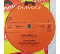 I will survive (Maxi Hitcomeback) / Vinyl Maxi Single [Vinyl 12'']