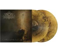 I Write To You, My Darling Decay [Vinilo]