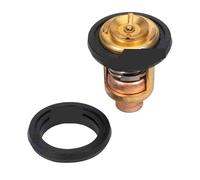 IAFANOZ Termostato 60° 66M-12411-00 66M-12411-01-00 6G8-12411 para 4 Tiempos 2.5HP 4HP 8HP 15HP 30HP 40HP 50HP 60HP 70HP 80HP