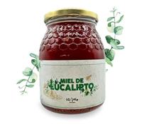 IAMI Miel Cruda de Eucalipto 1 kg | Miel Artesanal de la Sierra Espadán