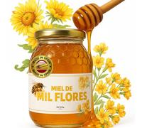 IAMI Miel de Mil Flores 1 kg | Tarro de Cristal | Miel Cruda de España