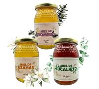 IAMI Pack 3 Mieles Crudas 500 g | Eucalipto, Azahar y Romero Artesanal