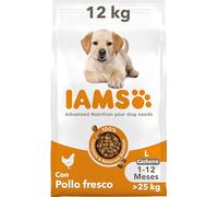 IAMS Alimento seco para Cachorros de Razas Grandes de 1-12 Meses con Pollo Fresco, 12 kg
