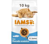 IAMS Alimento seco para gatos con pescado oceánico, comida seca para gatos adultos de más de 1 año, 10 kg