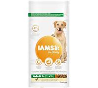 IAMS Alimento Seco para Perros de Razas Grandes, Pollo, 3kg | Comida Seca para Perros | Para Perros Adultos de más de 1 año | Con Pollo Fresco