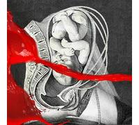 Iamx - The unified field